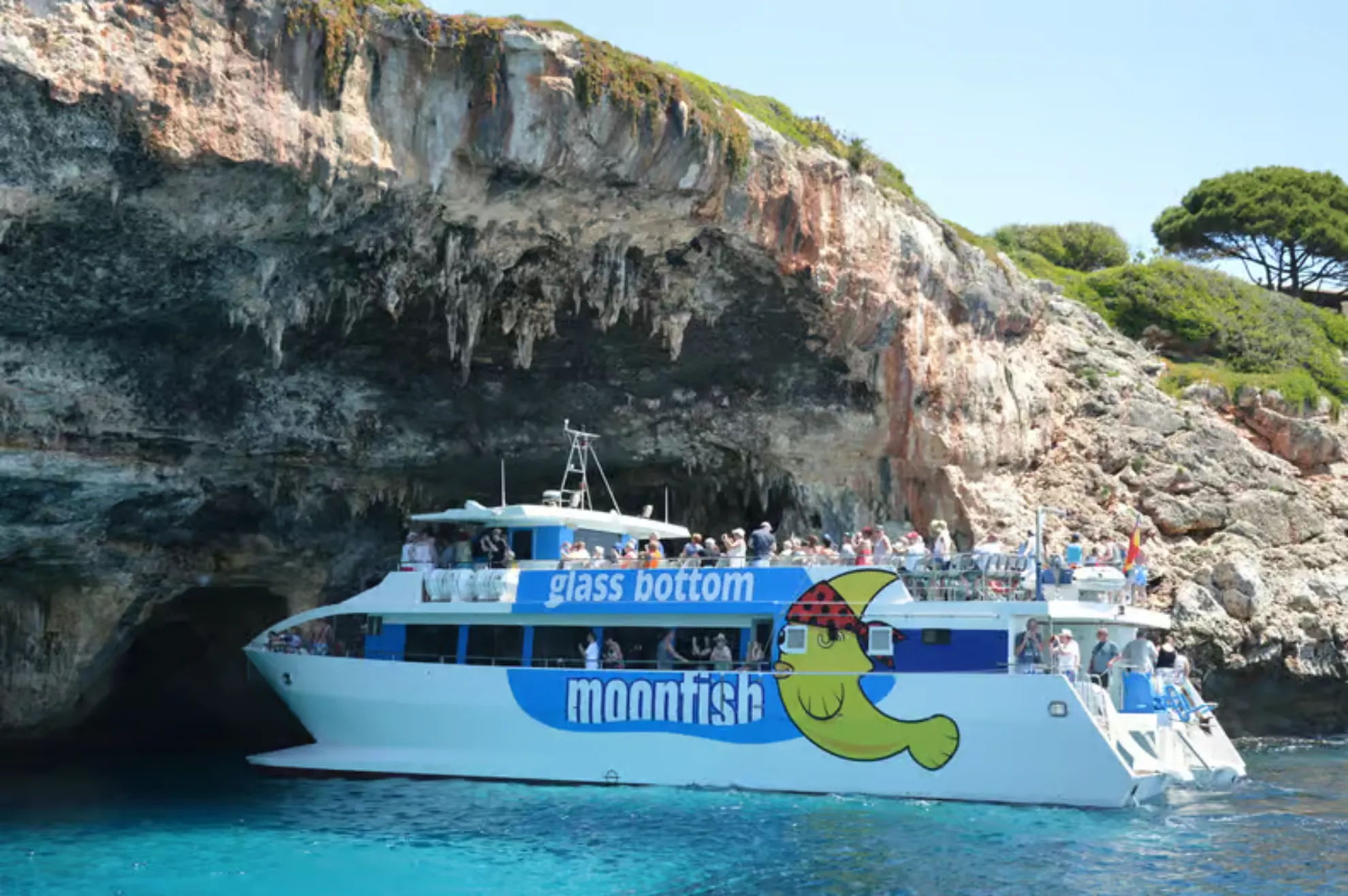 Glass-bottom catamaran between Cala Romántica and Cala Varques