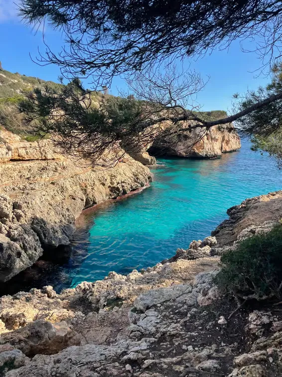 Spectacular views from the coastal route